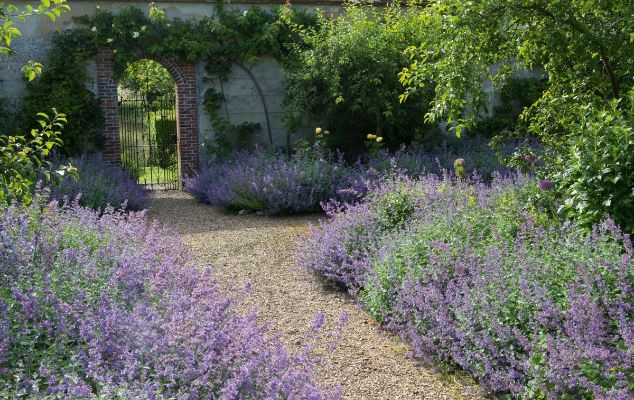 Choosing the Correct Gravel