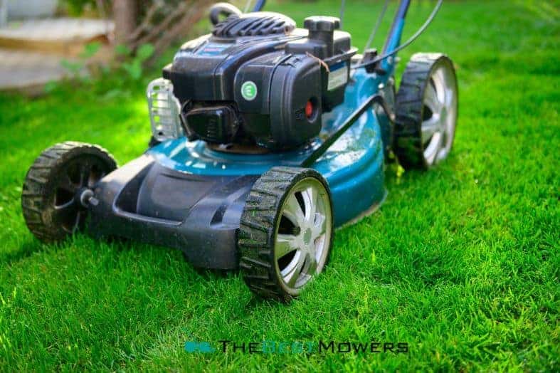 Is It Better To Buy a Self-Propelled Or a Push Lawn Mower