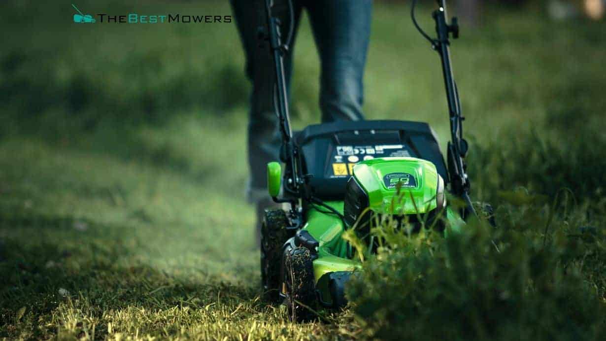 Petrol Vs Battery Mowers