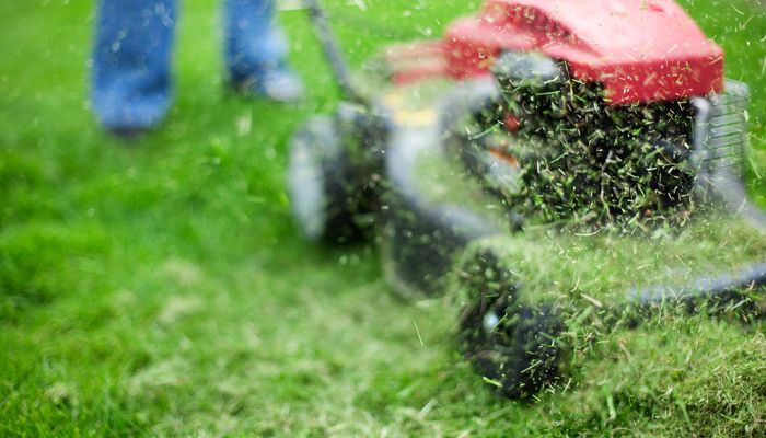 How To Attach A Grass Catcher To Your Lawn Mower - Our Guide