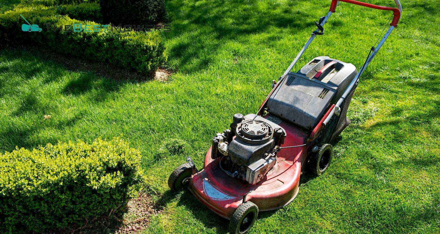 Are Lawn Mower Engines Interchangeable