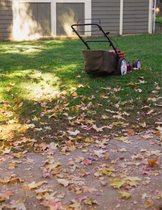 Secure My Mower Inside a Shed