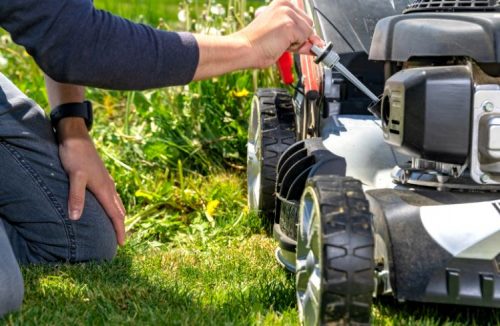 Lawnmower Carburettor Without Removing