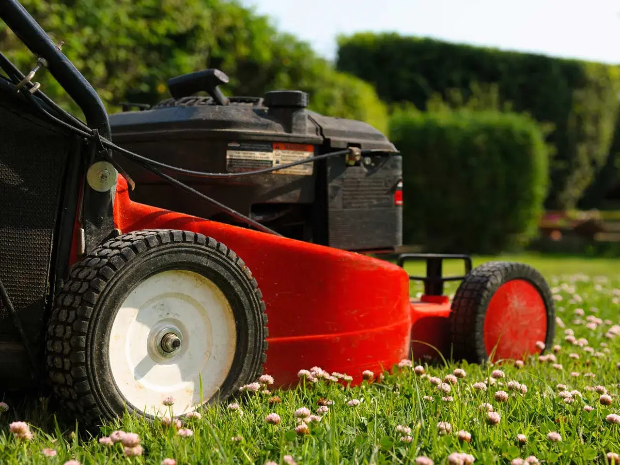 rotary or hover mower